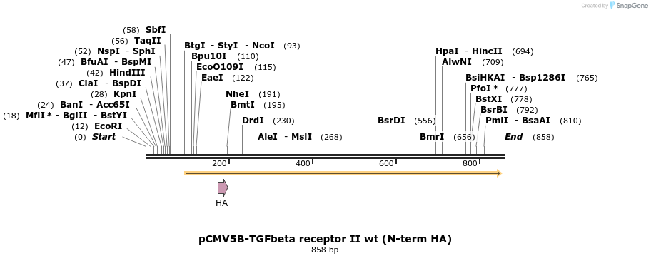 30775_map