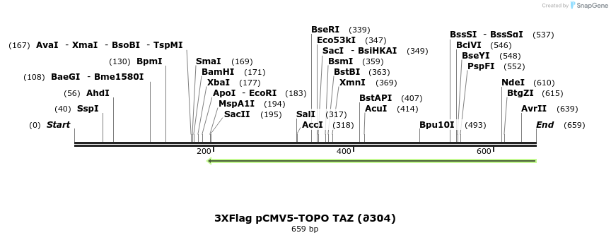 30777_map