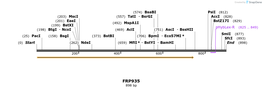 307772_map