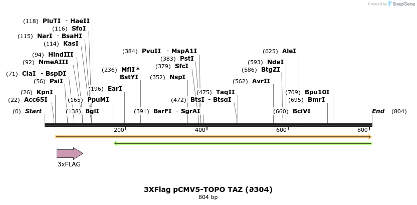 30778_map