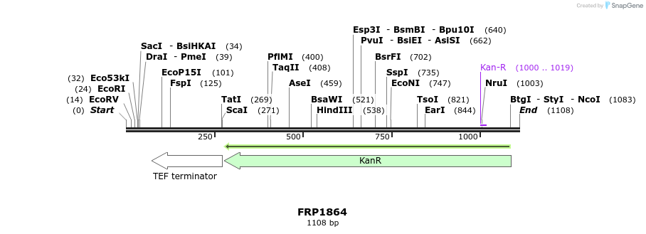 307780_map