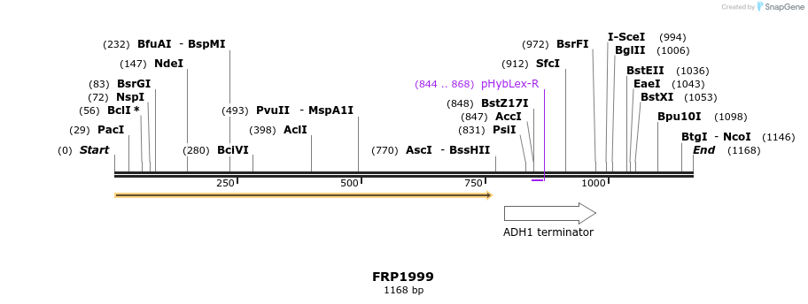 307782_map
