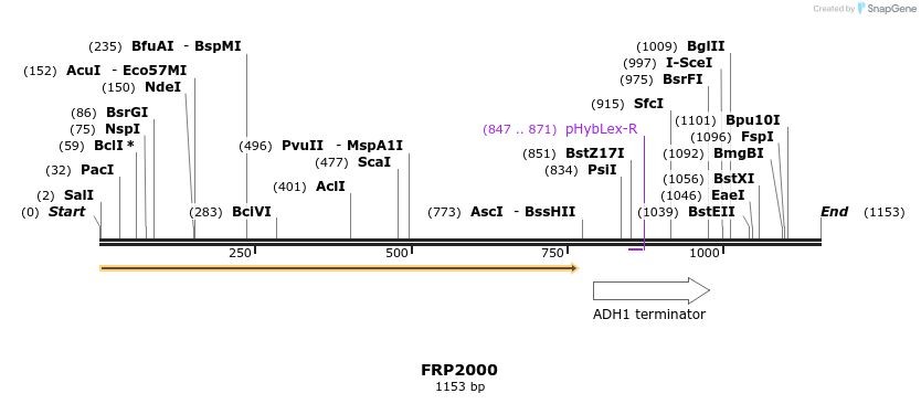 307784_map