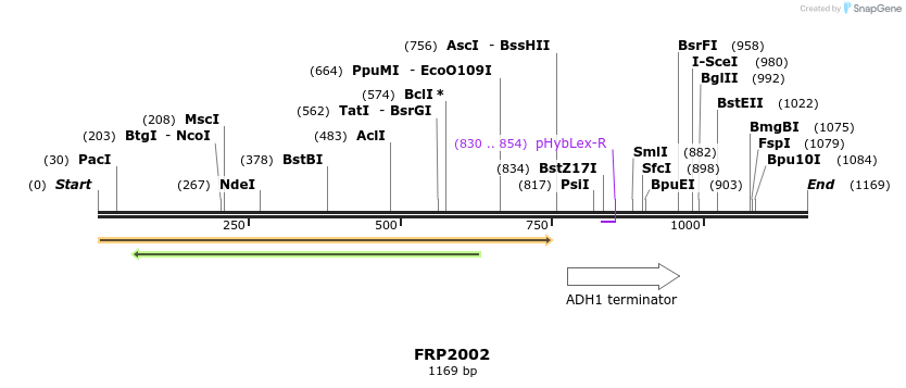 307788_map