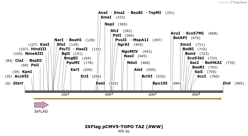 30779_map