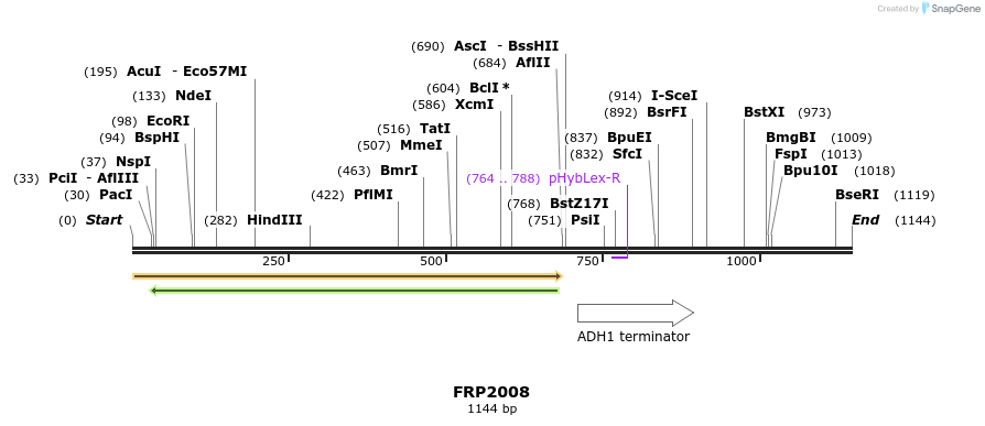 307790_map