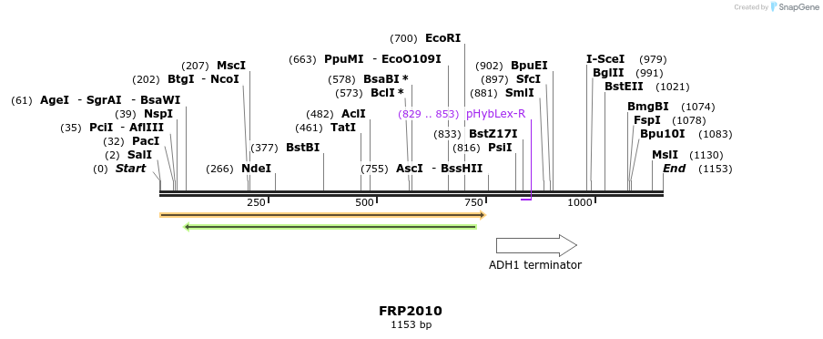 307792_map