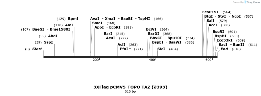 30780_map