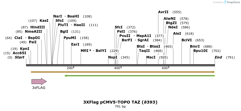 30781_map