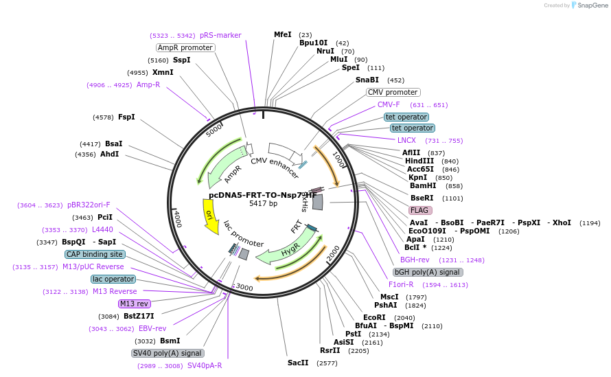 307832_map