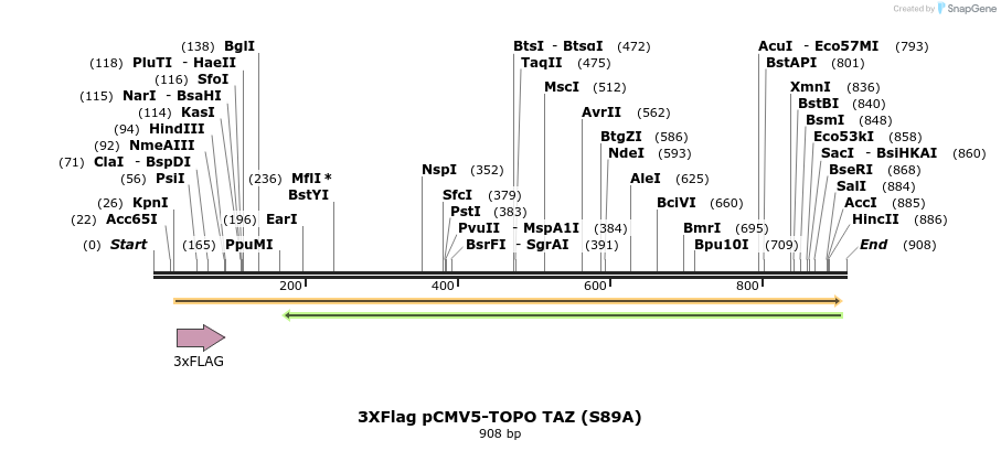 30785_map