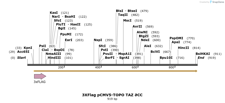 30786_map