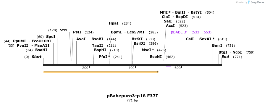 30787_map