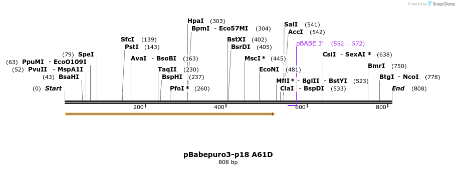 30789_map