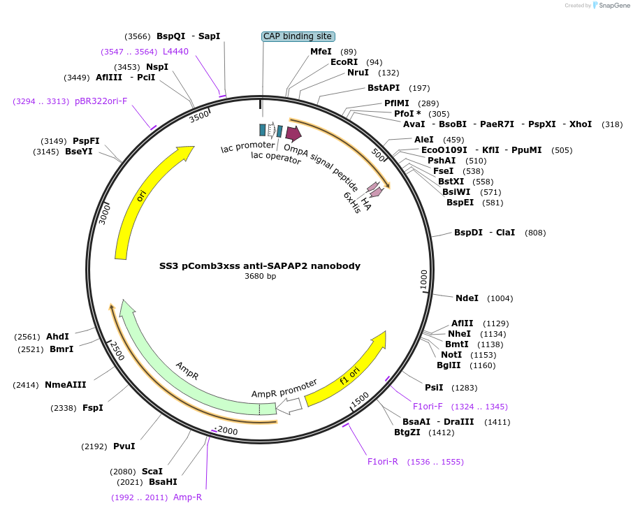 307900_map