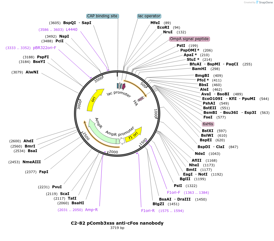 307901_map