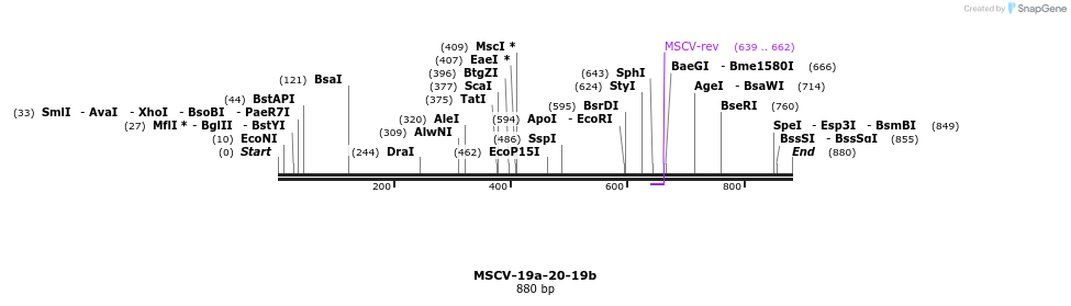 30793_map