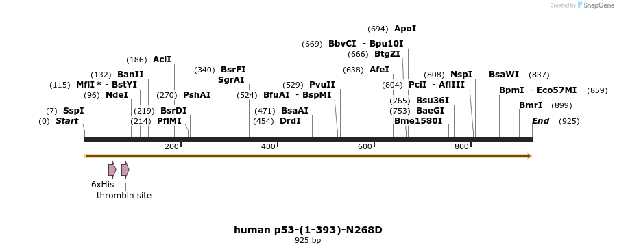 30798_map