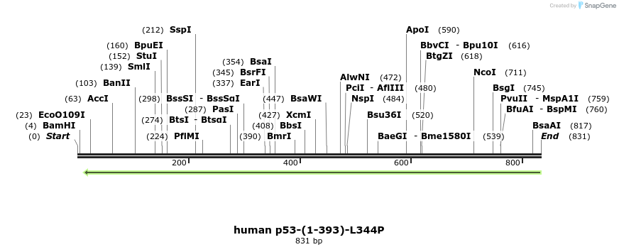 30799_map