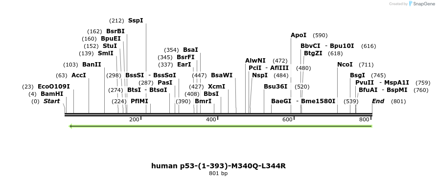 30801_map