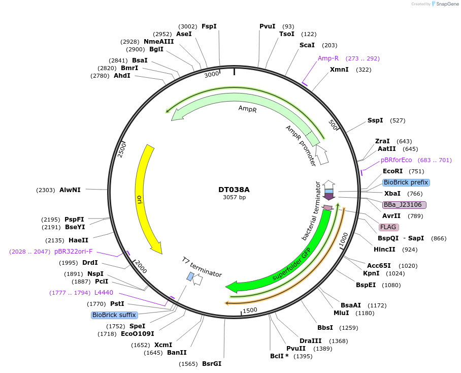 308029_map