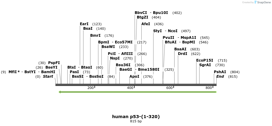 30803_map