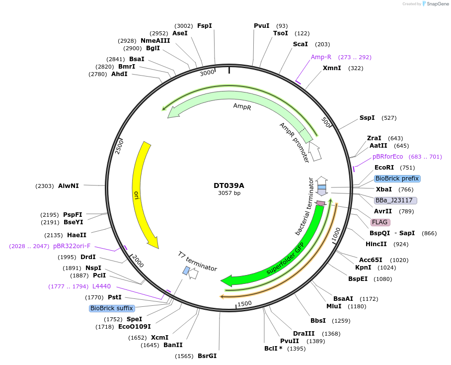 308030_map