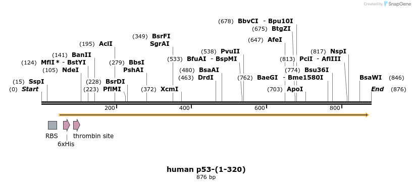 30804_map