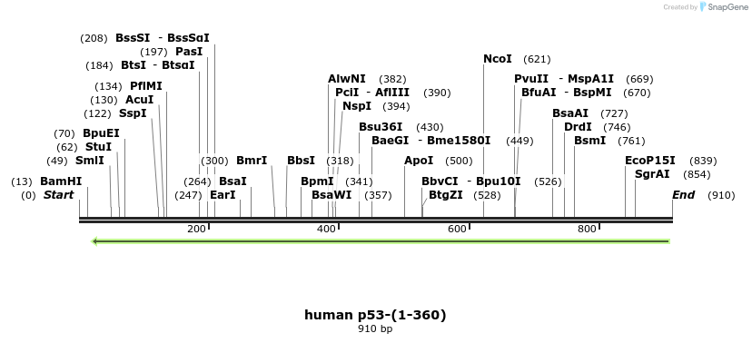 30805_map