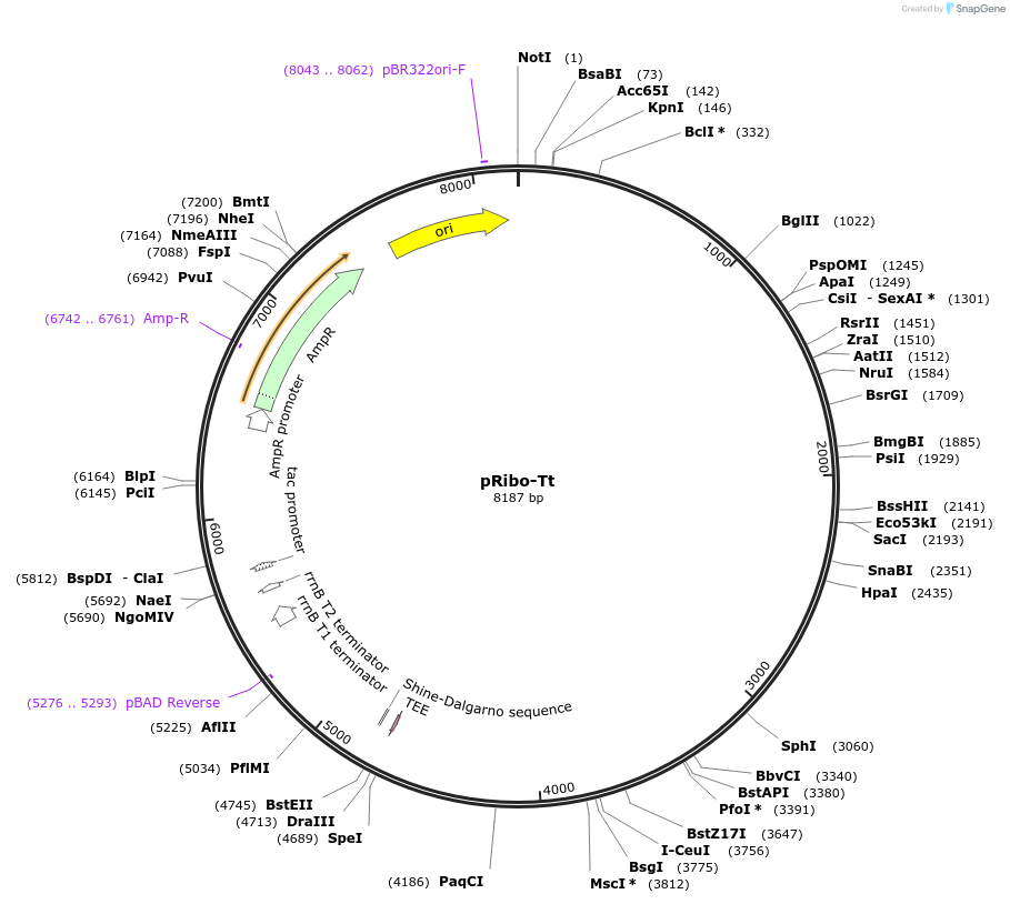 308059_map