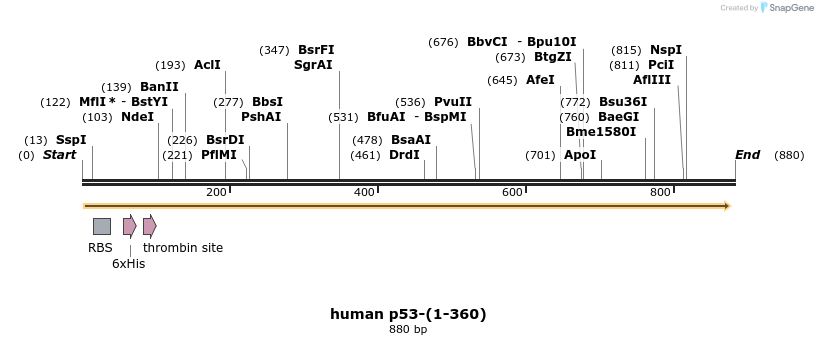 30806_map