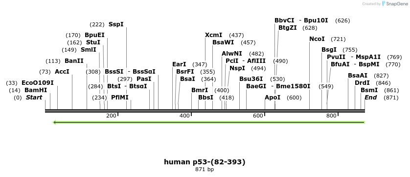 30808_map