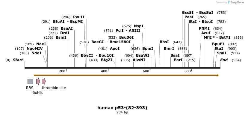 30809_map