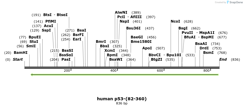 30810_map