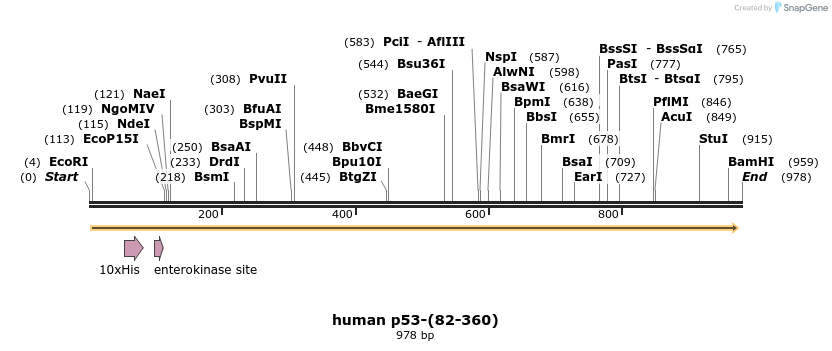 30811_map