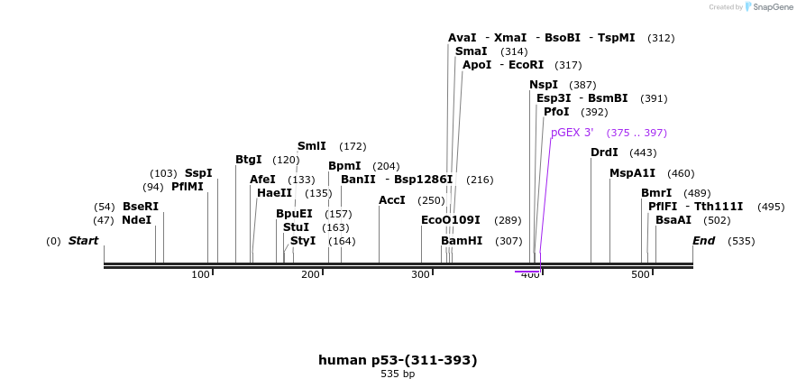 30812_map