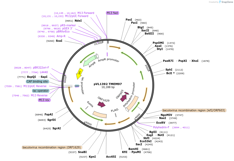 308132_map