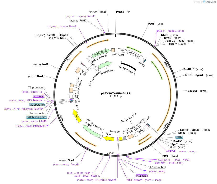 308149_map