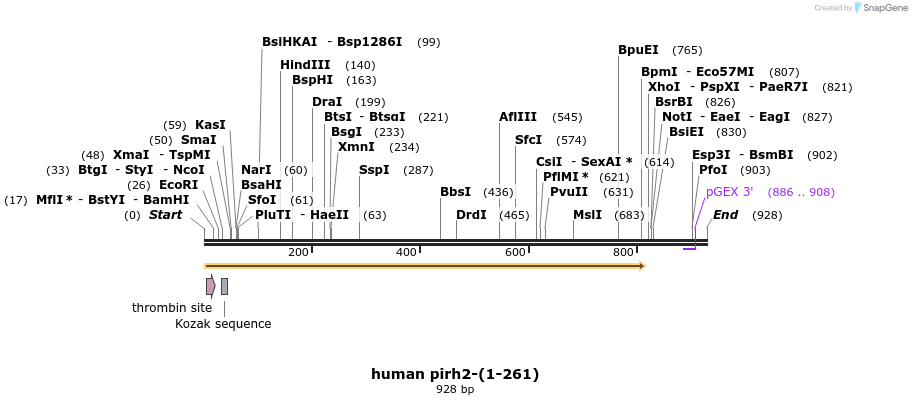 30817_map