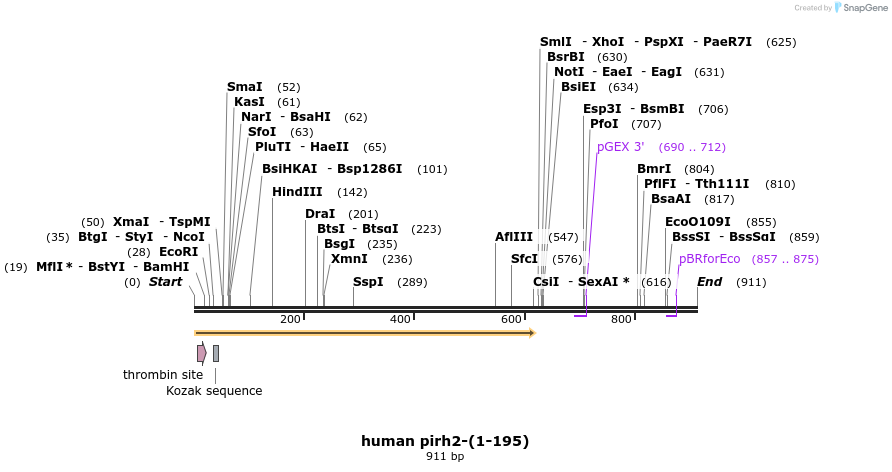 30819_map