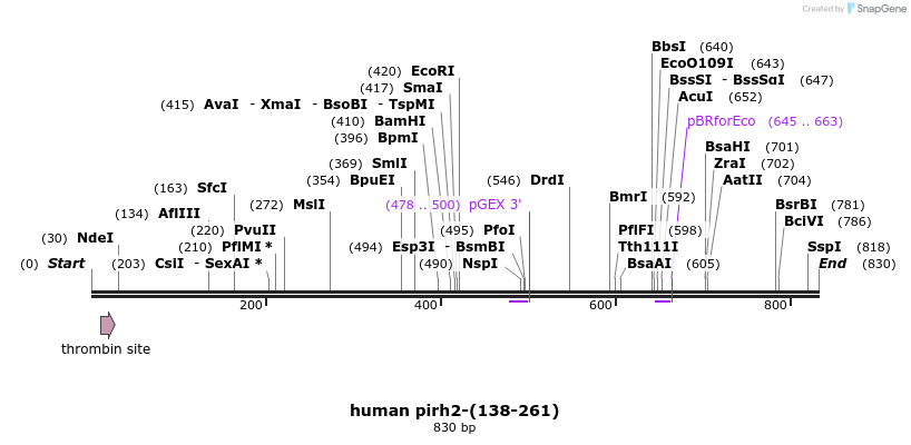 30821_map
