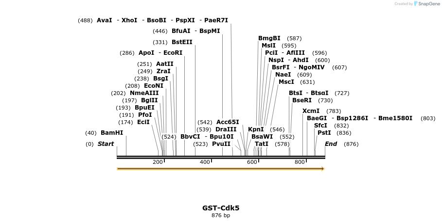 30825_map