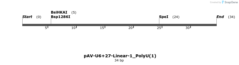 308267_map