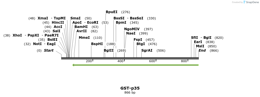 30827_map
