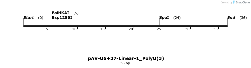308273_map