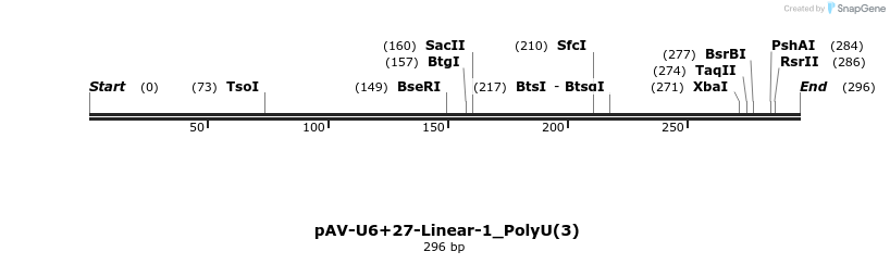 308274_map