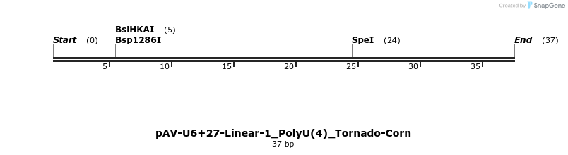 308276_map