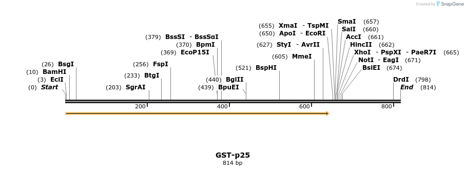 30828_map