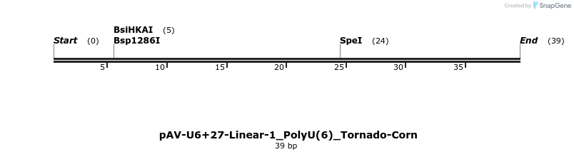 308282_map