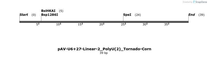 308294_map